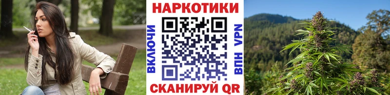 Каннабис Павловский Посад