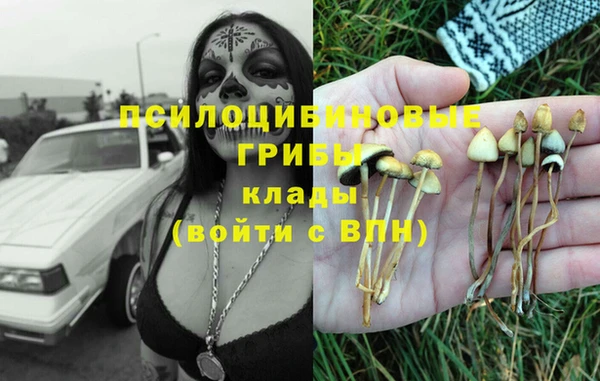 spice Гусиноозёрск