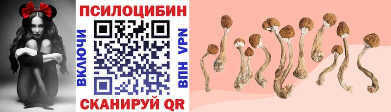 Галлюциногенные грибы прущие грибы  кракен маркетплейс  Павловский Посад 
